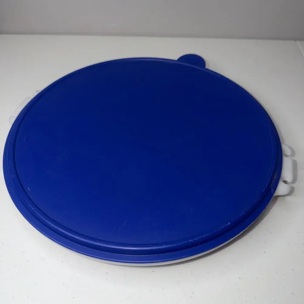 Vintage Blue Tupperware Divided Serving Tray Vegetables Snacks Lid